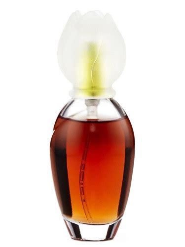 chloe narcisse fragrantica
